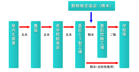 お米の経路図